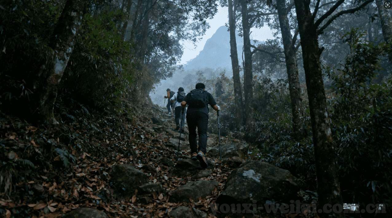 世界杯墨西哥射门数据-世界杯墨西哥射门数据，精准与力量的艺术