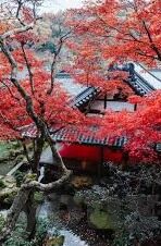 老虎机 全民水果机单机版-老虎机与全民水果机单机版，休闲游戏的魅力与变迁