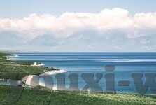 英文足球即时比分-揭秘英文足球即时比分，全球球迷的数字心跳