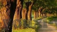足球比分直播jie-揭秘足球比分直播背后的技术江湖，速度、精准与用户体验的终极较量